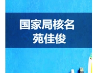 河南公司名称去掉河南地名申请国家局名称